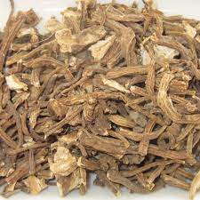 Angelica Root
