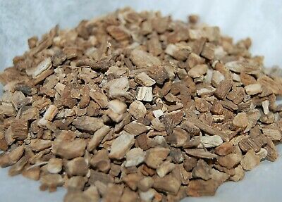 Burdock Root