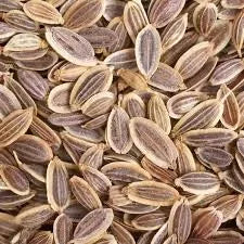 Dill Seeds