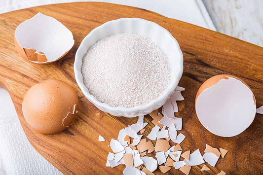 Cascarilla (Ground Egg Shell Powder)