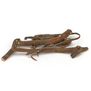 May Apple Root