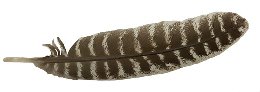 Smudging Feathers